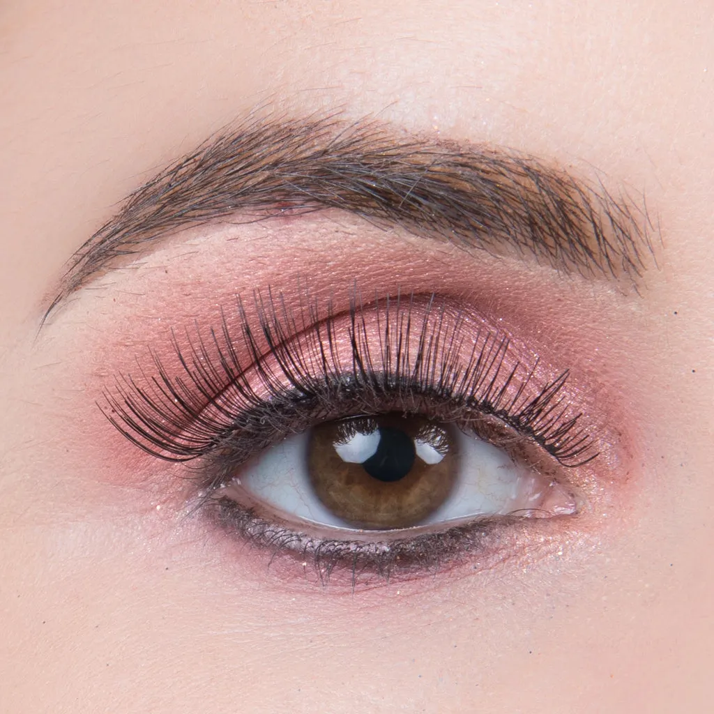Ardell Lashes 105 Multipack (6 Pairs)