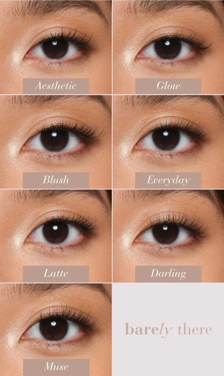 Everyday Strip Lashes