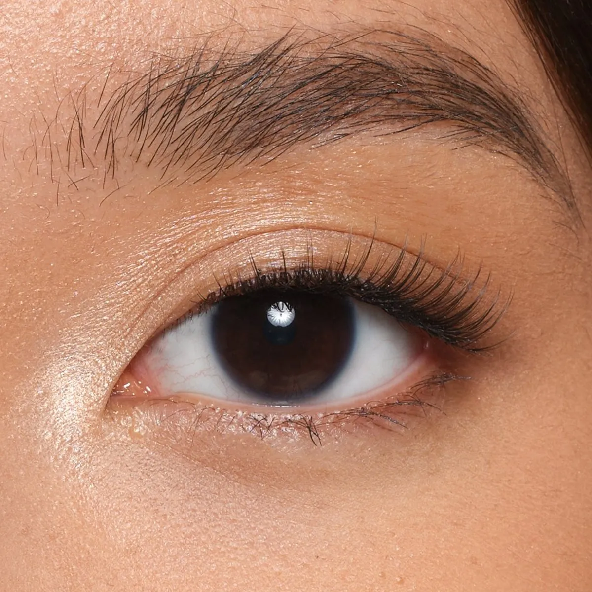 Everyday Strip Lashes
