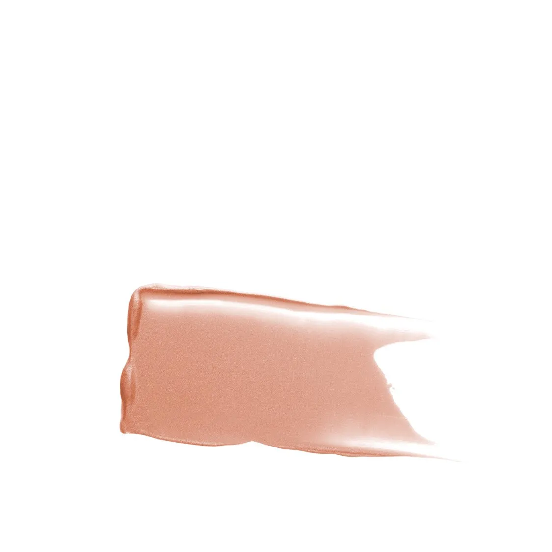 Eye Basics Primer 