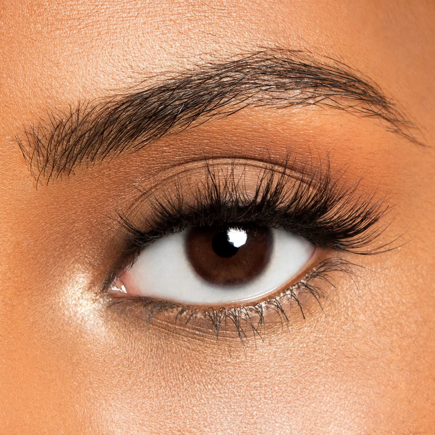 FALSE LASHES