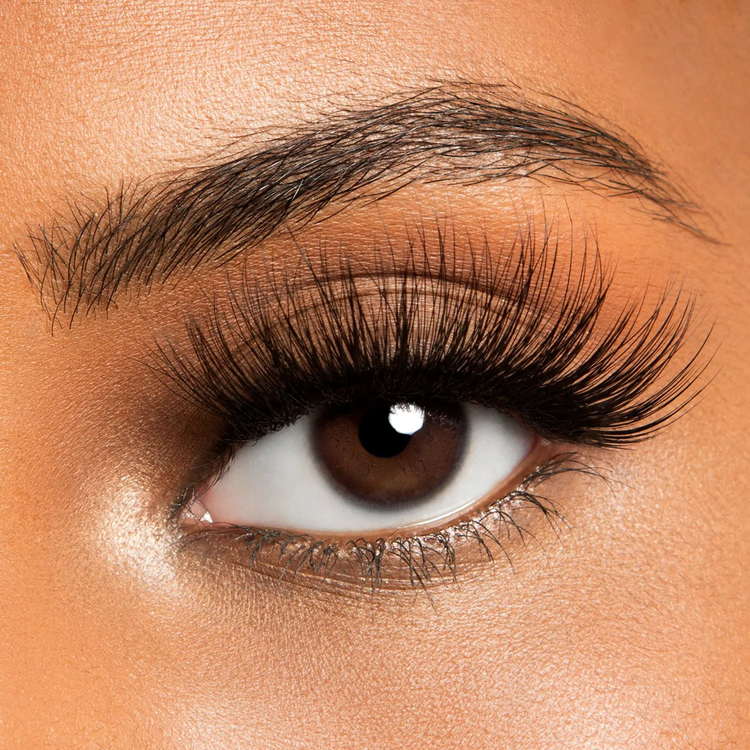 FALSE LASHES