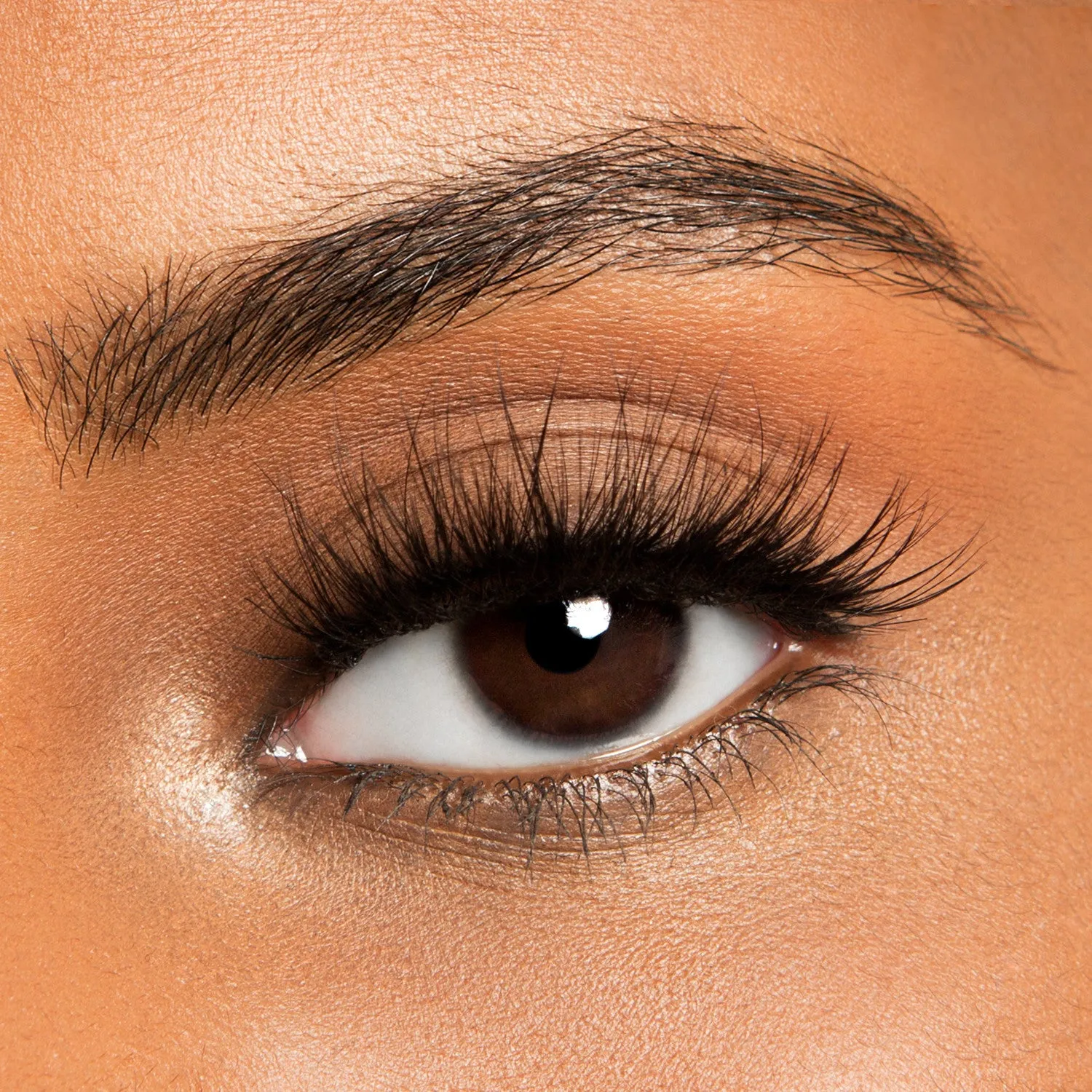 FALSE LASHES
