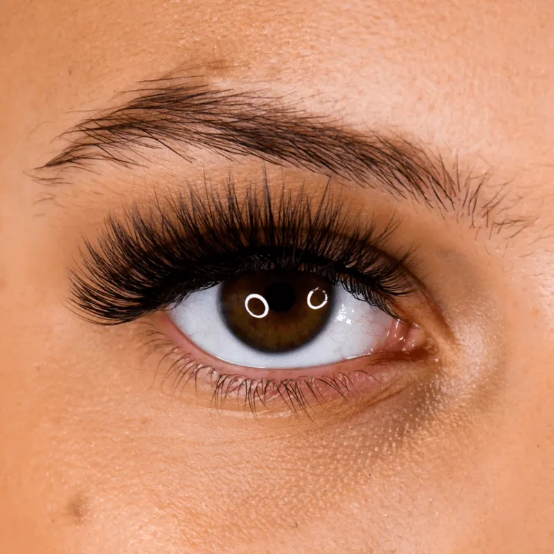 LB01 Natural Strip Lashes